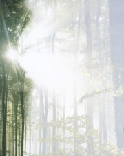 Ayurveda Massagen, Körpertherapie-Schnaittach, Lauf, Hersbruck, Nürnberg Ayurveda Massagen, Körpertherapie-Schnaittach, Lauf, Hersbruck, Nürnberg